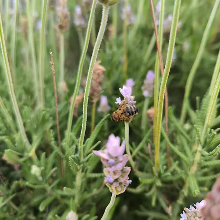Casa Montanas De Anaga