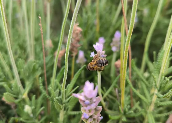 Casa Montanas De Anaga